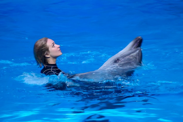 «Взрослый видит выныривающих дельфинов и не отличается от ребенка»