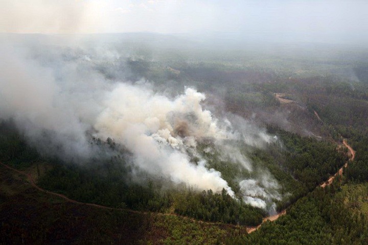 Площадь природных пожаров в Приангарье выросла до 80 тыс. га