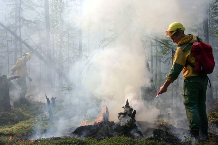 Площадь пожаров в Иркутской области продолжает расти