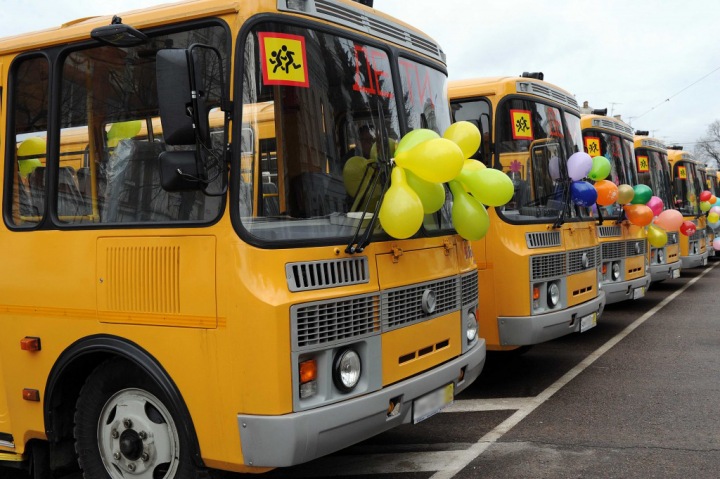 Новые автобусы получат школы в Новосибирской области