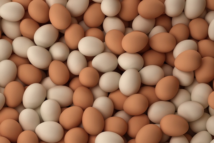 Новосибирский «Агропарк» стал рынком с яйцами по 33 рубля