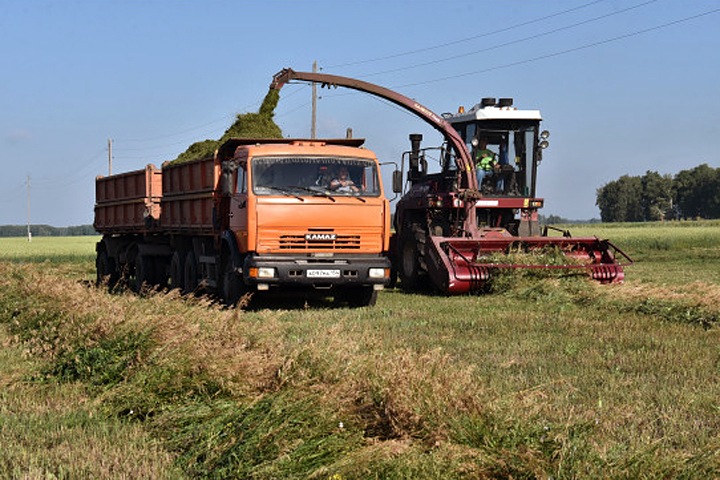 Новосибирские власти потребовали от аграриев вернуть господдержку