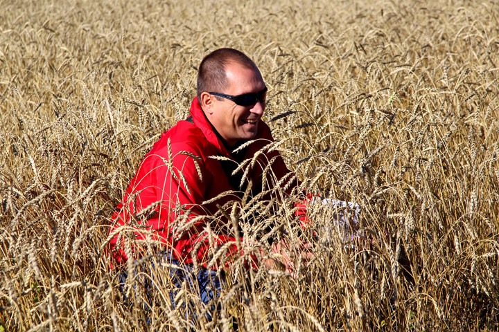 Новосибирская область отправит в Китай первую партию пшеницы