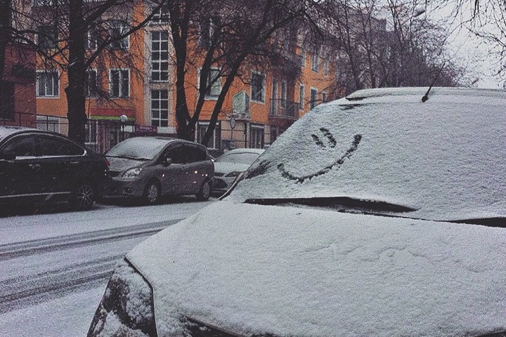 Временный снежный покров установился в Новосибирской области