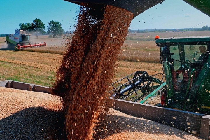Городецкий: Новосибирская область может отправлять на экспорт 1 млн тонн зерна ежегодно