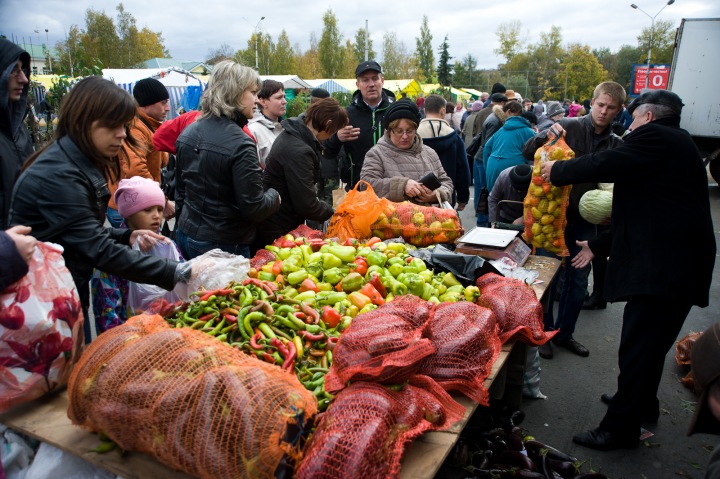Сельхозпредприятия Новосибирской области собрались на ярмарку в Краснообске