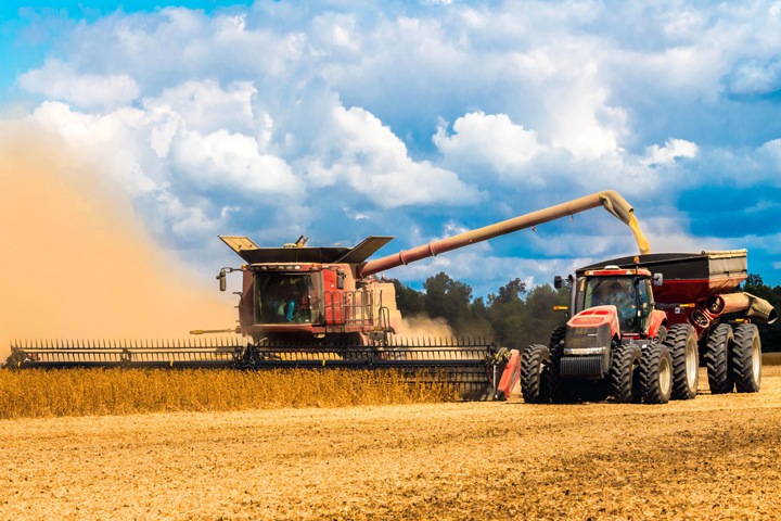 Продажу зерна из Новосибирской области обсудят в Минсельхозе РФ