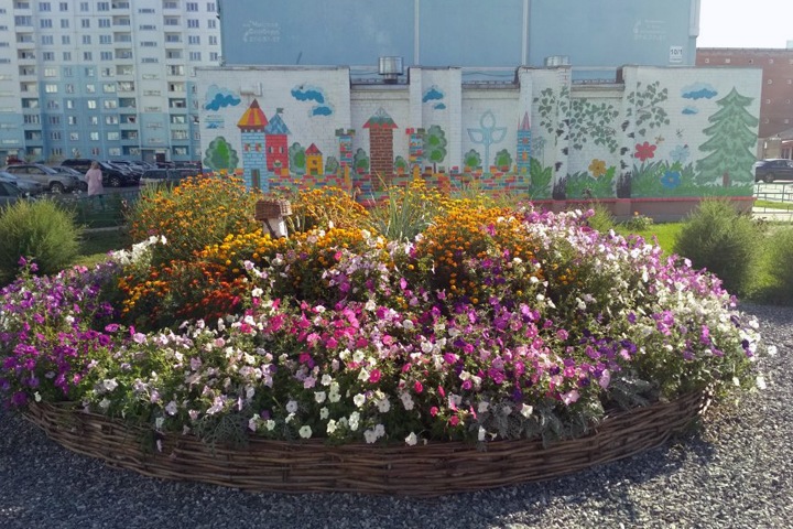 Итоги конкурса «Мой цветущий двор» подвели в Новосибирске