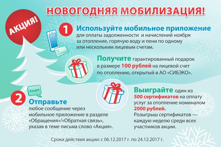 «СИБЭКО» объявило о новогодней мобилизации