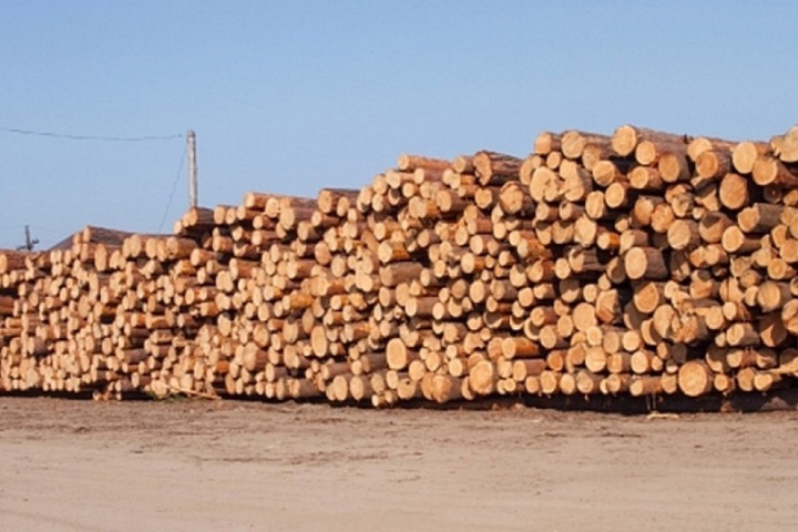 Лесопромышленники из Красноярского края будут поставлять продукцию в Японию