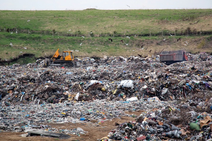 Новосибирские власти нашли место под пять мусоросортировочных комплексов