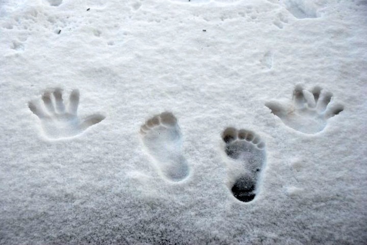 Трехлетний малыш ушел ночью из дома и замерз насмерть в Красноярском крае