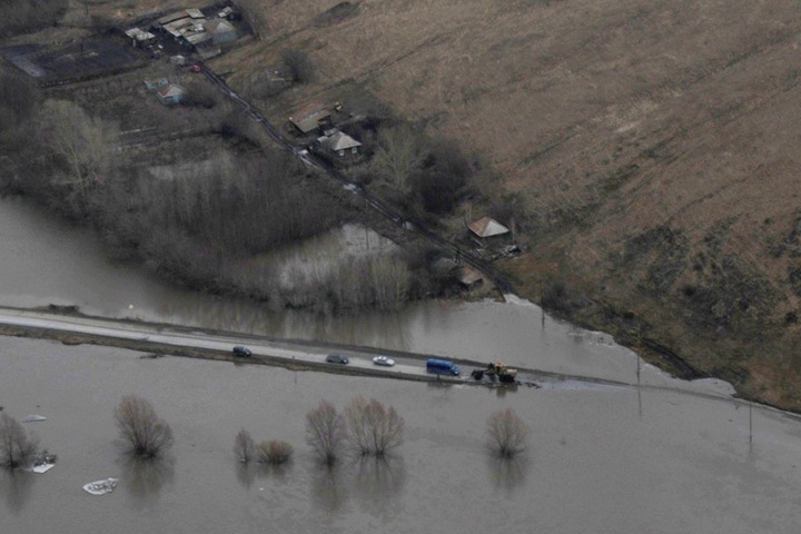 Власти ввели режим ЧС на всей территории Алтайского края из-за паводка