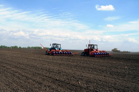 Новосибирской области увеличили лимиты на вывоз зерна