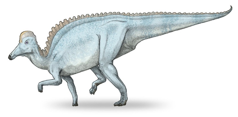 Амурозавр. Wikipedia.org
