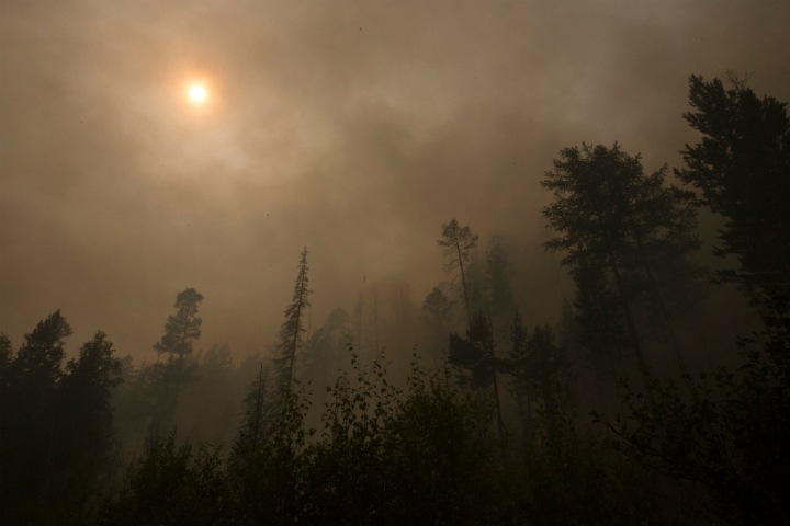 Площадь лесных пожаров в Забайкалье удвоилась