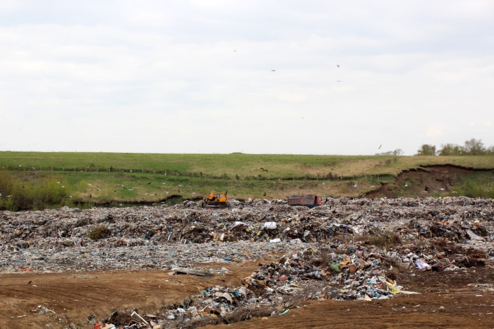 Условия расторжения мусорной концессии в Новосибирске определят в течение месяца