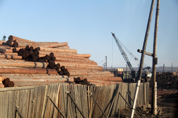 Китайцы пока не получили участки леса в 49-летнюю аренду в Бурятии