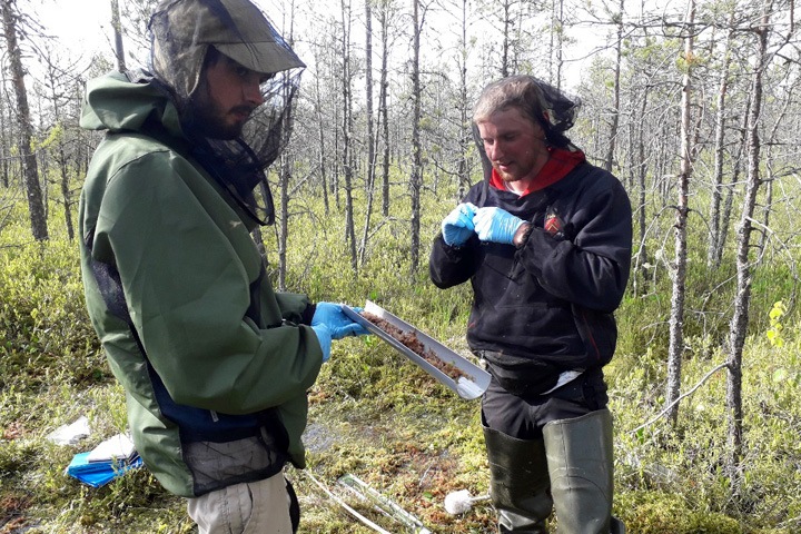 Британские ученые изучат влияние сибирских болот на климат