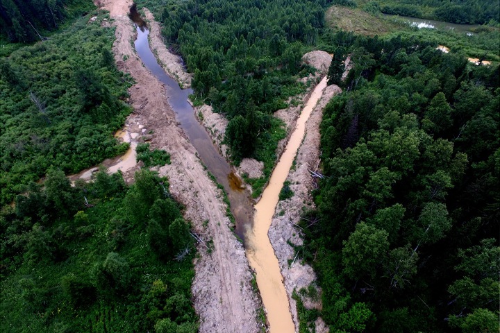 Кемеровская прокуратура завела дело о загрязнении реки Кии