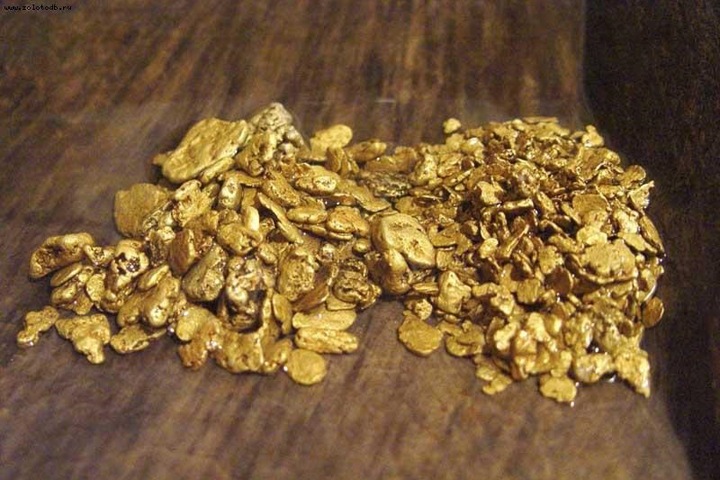 Госдума одобрила соглашение с Китаем о добыче золота в Забайкалье