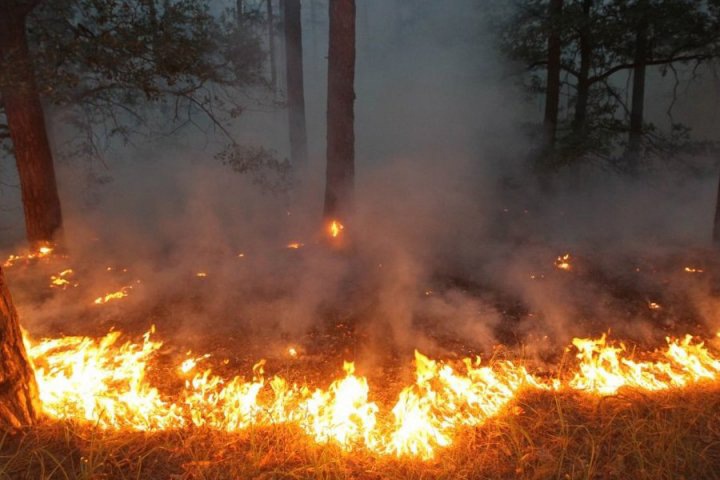 27 лесных пожаров зарегистрировано в Красноярском крае