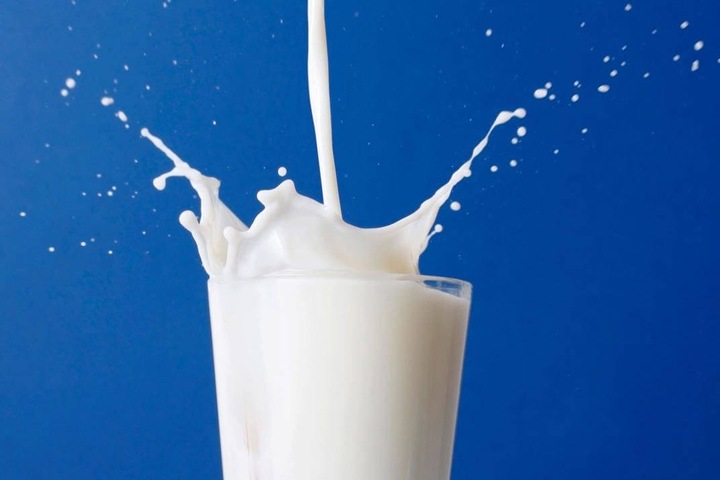 Половина молочной продукции для бюджетных организаций Новосибирска признана фальсификатом