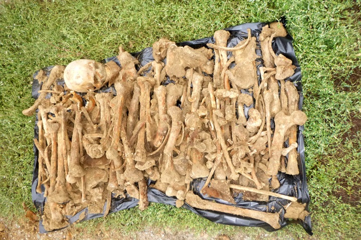 Массовое захоронение обнаружено в алтайском селе