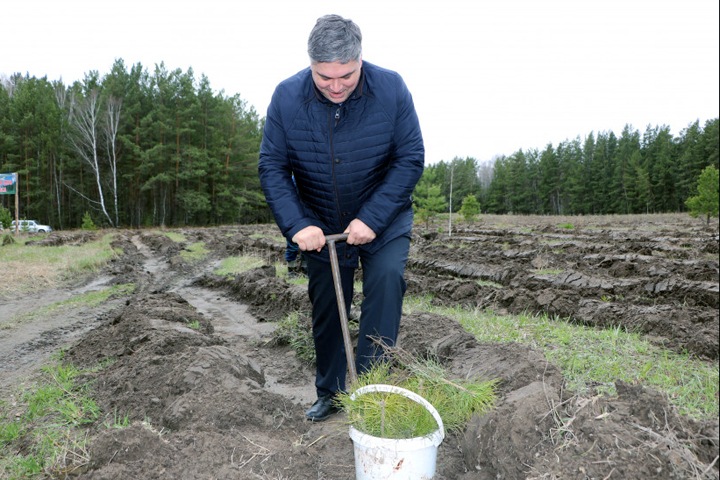 Новосибирские депутаты отказываются от согласования главы минсоцразвития
