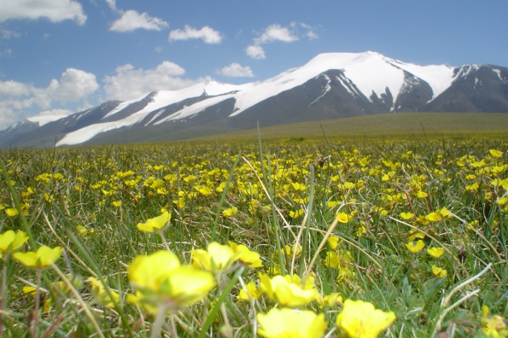 Ученые описали историю крупнейшего горного ледника Монгольского Алтая. Это поможет понять изменение климата