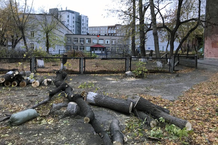 Деревья под строительство 10-этажки начали вырубать около новосибирской школы