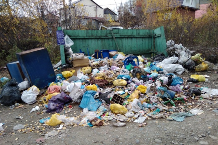 Мусорный коллапс в Республике Алтай. Регоператор не справился с задачей