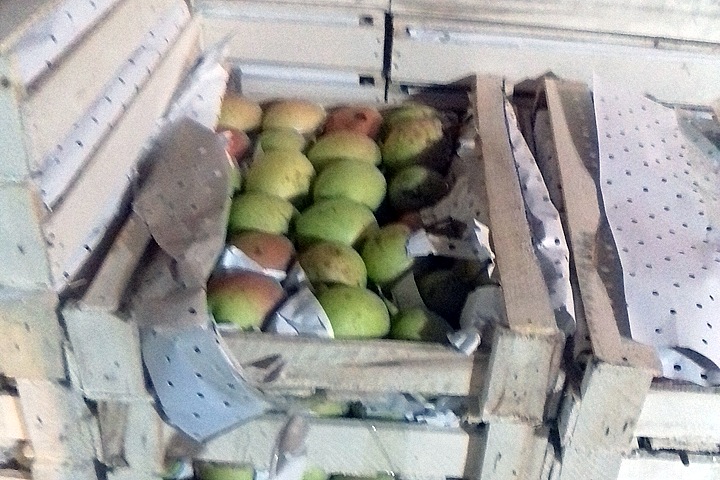 Более 200 кг санкционных фруктов раздавили в Чите