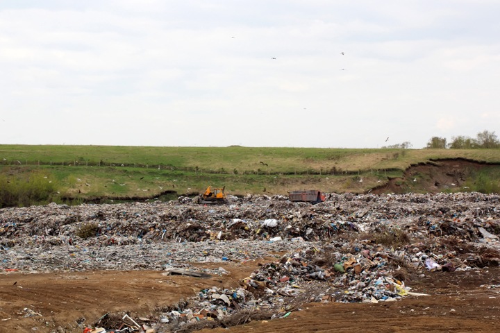 Тариф на мусор в Новосибирской области не превысит 100 рублей