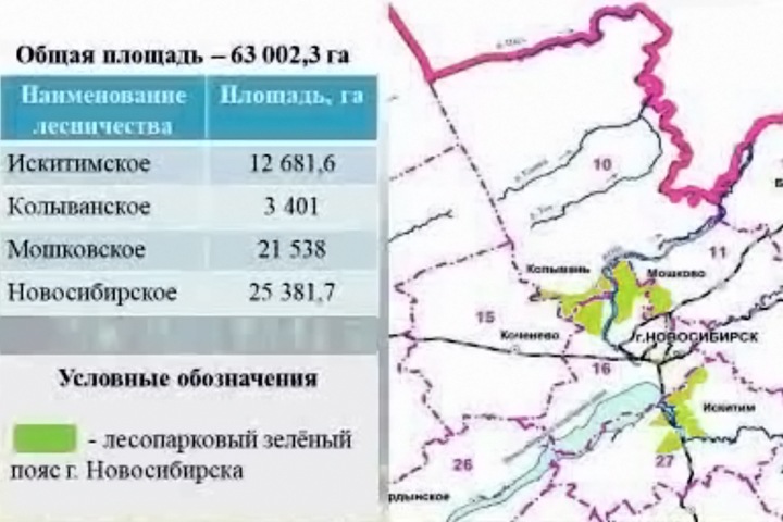 Депутаты создали «зеленый пояс» вокруг Новосибирска
