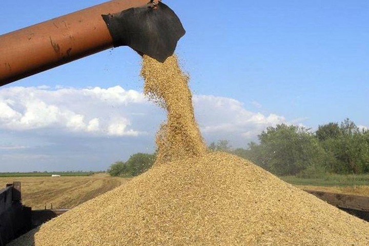Новосибирская область планирует наращивать объем экспорта зерна