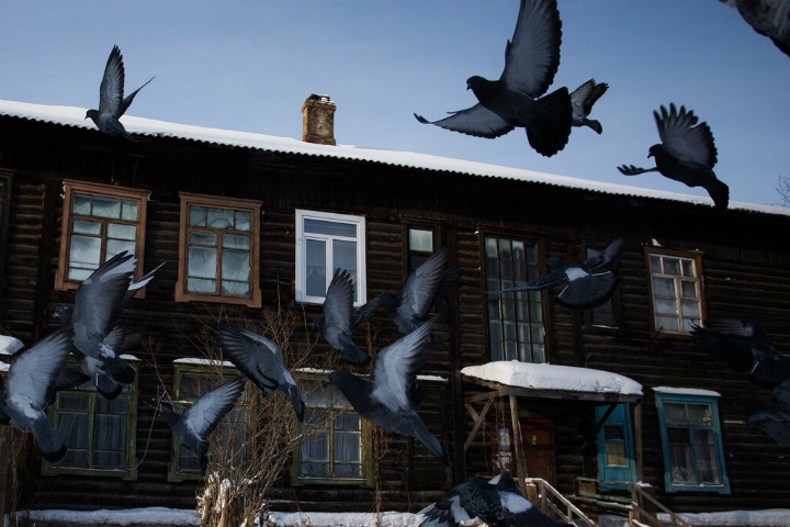 Начинается Затон и кончается закон: как живет новосибирский микрорайон в ожидании сноса