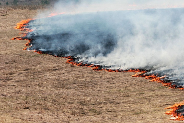 Первый крупный степной пожар года зафиксирован в Забайкалье