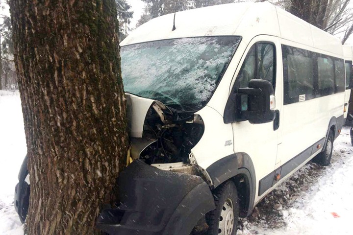 Автобус с пассажирами врезался в дерево на Алтае. У водителя остановилось сердце