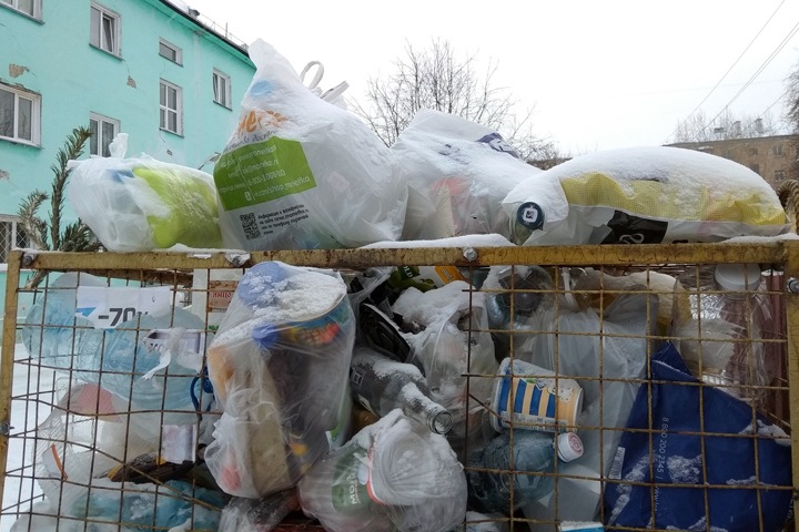 Зампред заксобрания: новосибирцы платят за вывоз мусора, которого не происходит
