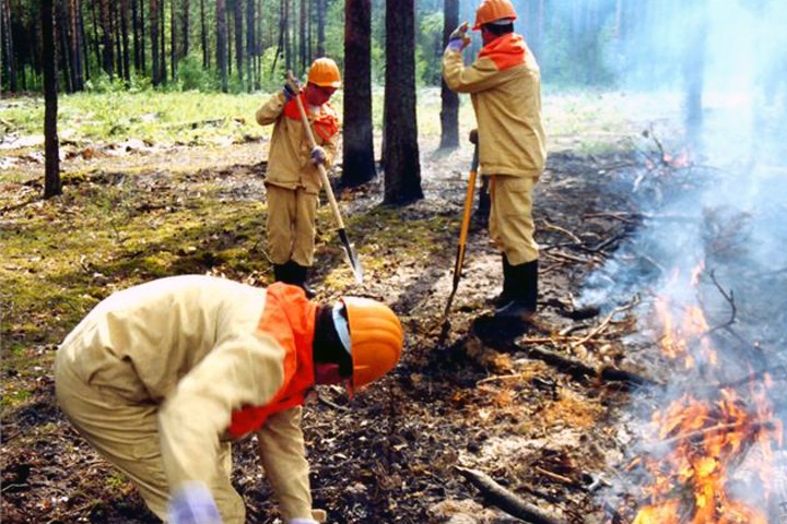 Площадь природных пожаров в Сибири превысила 5 тыс. га