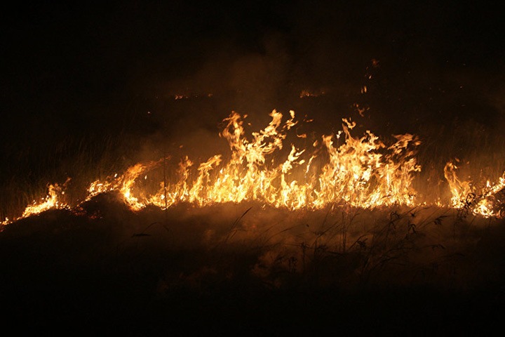 Более 200 га леса горят в Забайкалье