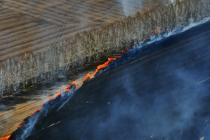Площадь природных пожаров достигла 20 тыс. га в Новосибирской области