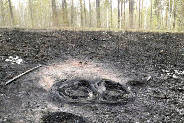 Министр заявил о признаках поджога леса вокруг Иркутска