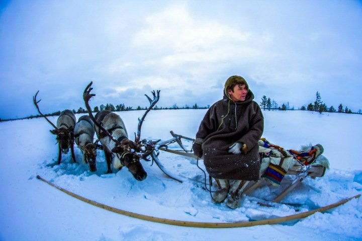 How one gene mutation helped indigenous peoples of Siberia to adapt to harsh conditions
