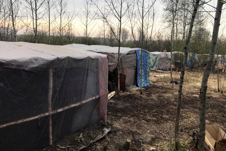 Полиция разогнала палаточный лагерь мигрантов под Новосибирском