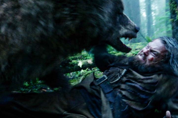 Тувинец спасся, откусив язык напавшего на него медведя