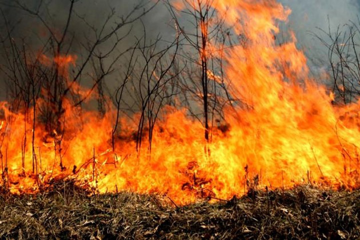 Тысячи гектаров леса горят в Иркутской области и Красноярском крае