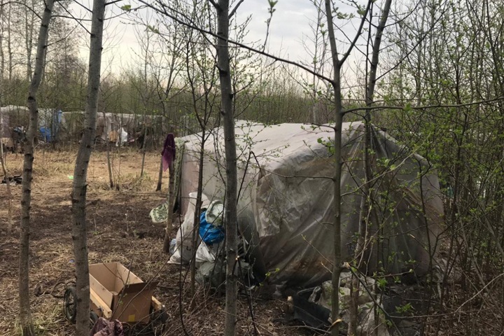 ОМОН нагрянул в палаточный лагерь мигрантов под Новосибирском