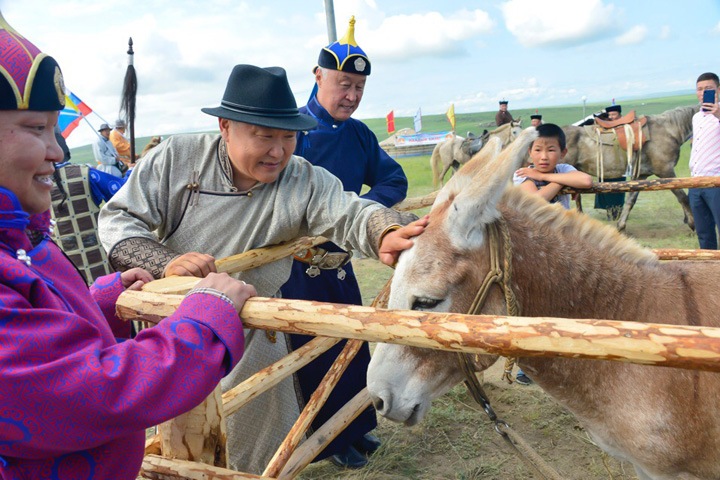 Глава Тувы предложил экспортировать шерсть и шкуры в Монголию и Китай